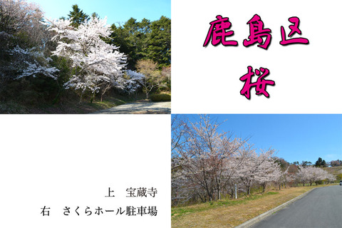 blog-kashima