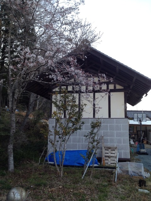 2014-04-09-17-24-16