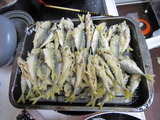 0b3a7058.jpg