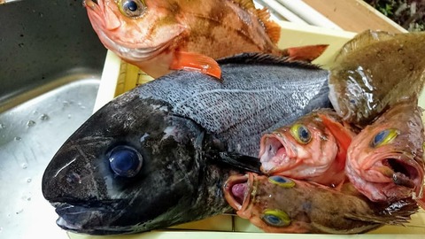 IMG_20190311_155925_394