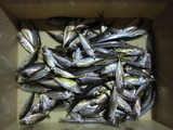 4875d0de.jpg