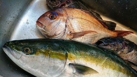 IMG_20190413_171112_078