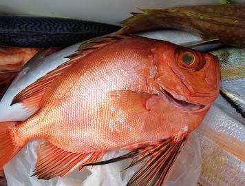 IMG_20191104_134521_457