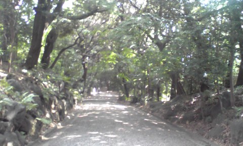 SH010088.JPG