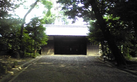 SH010089.JPG