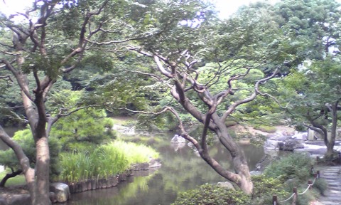 SH010090.JPG
