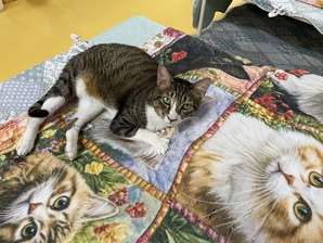 IMG_7827