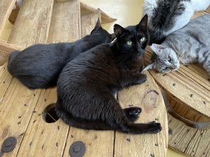 IMG_6837