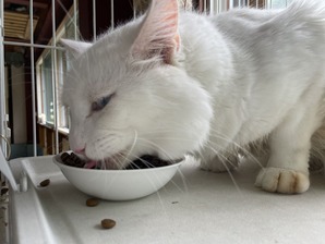 IMG_7548
