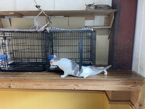 IMG_7558