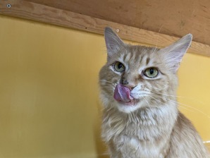 IMG_7910