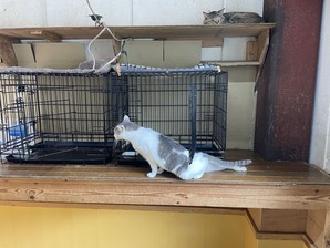 IMG_7559