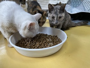 IMG_7862