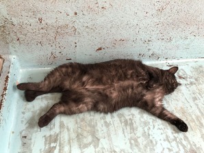 IMG_2113