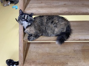 IMG_6390