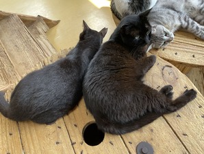 IMG_6838