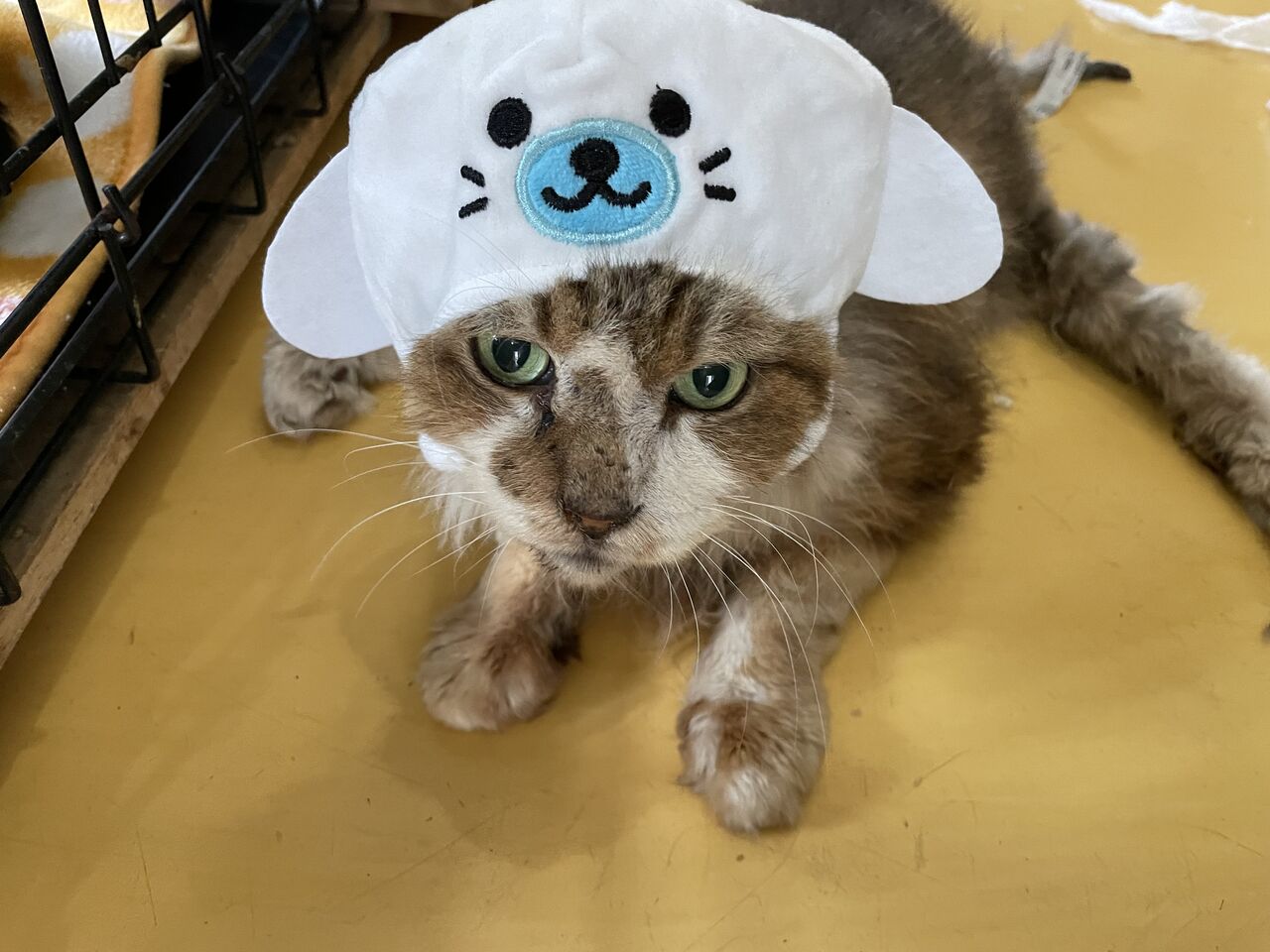 もぞもぞ