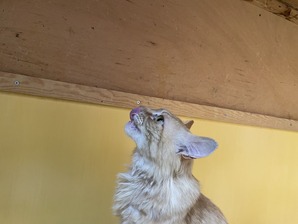 IMG_7908