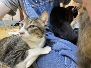IMG_7751