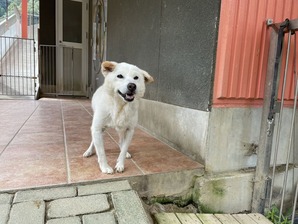 IMG_6802