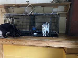 IMG_7565
