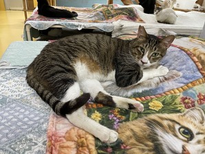 IMG_7824
