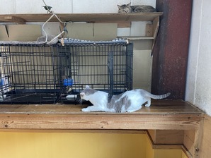 IMG_7557