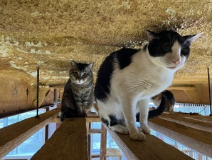 IMG_7964