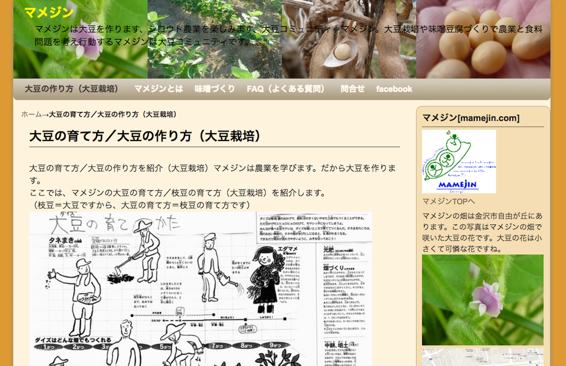 第44歩 W 大豆蒔くぜ ミナトーフ 湊豆腐 復活への道 第44歩 W 大豆蒔くぜ ミナトーフ 湊豆腐 復活への道
