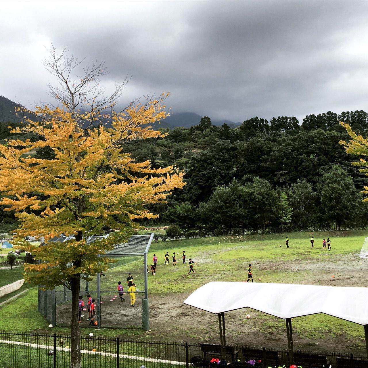 秦野戸川公園でヴェルディ相模原や横浜栄ｆｃとの練習試合 湘南に住むパパのサッカー応援ブログ