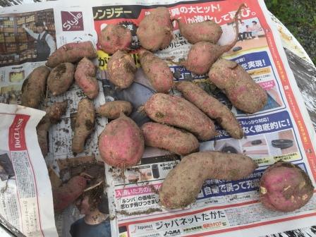 イメージ 1