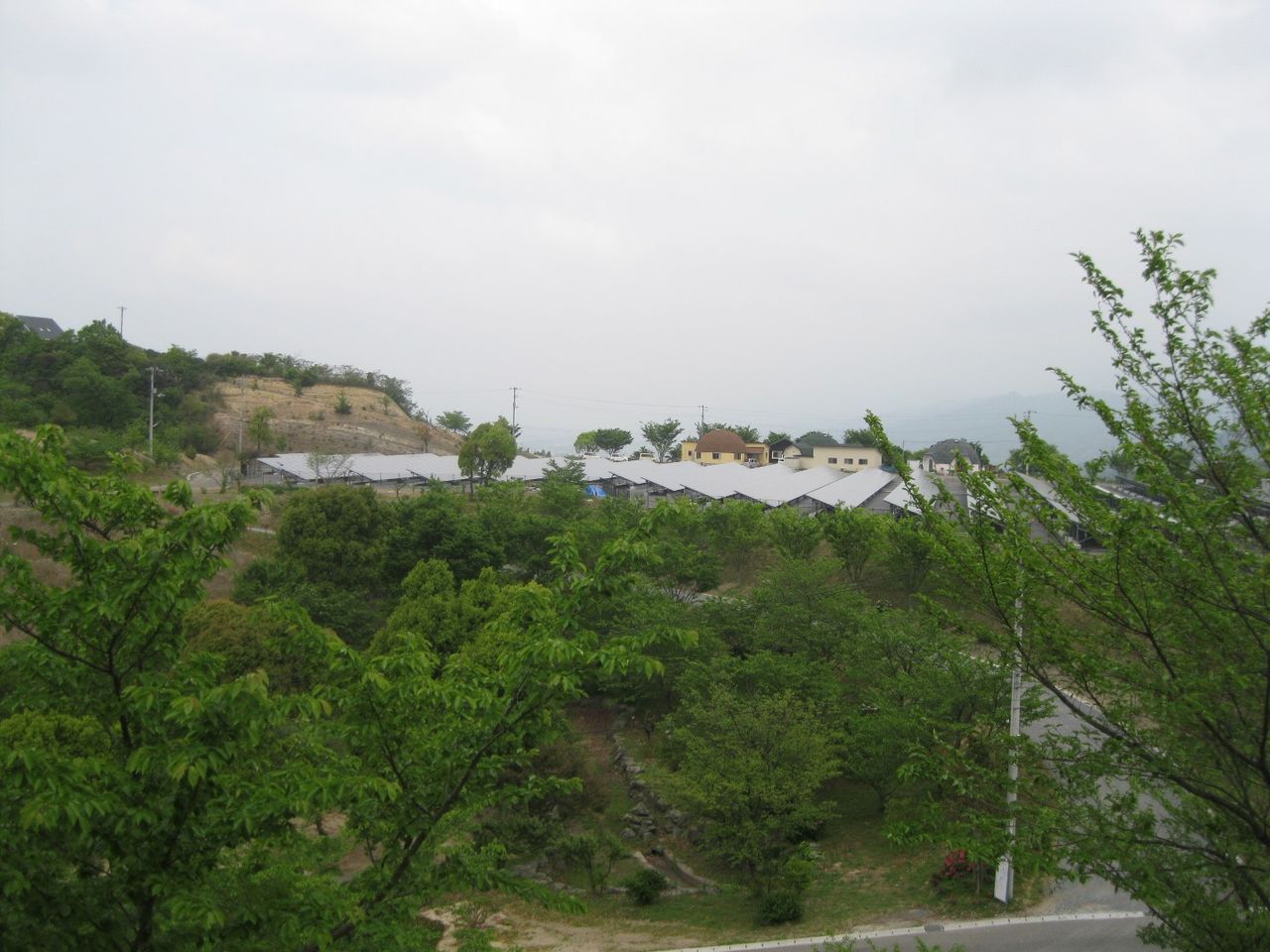 イメージ 1