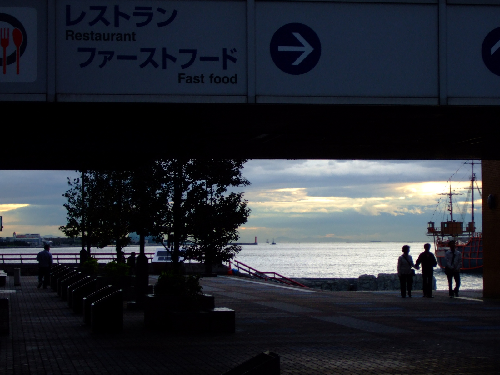 海遊館に行きました 生きてる感想