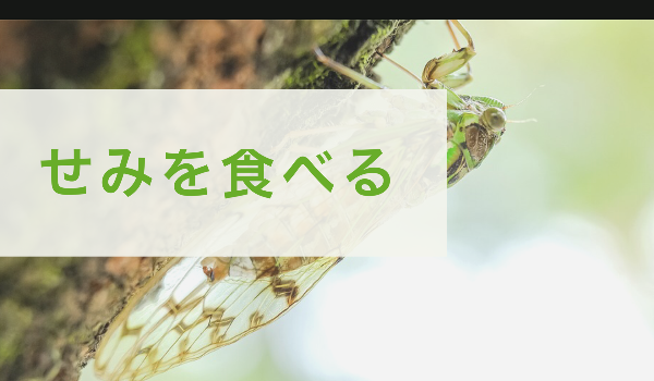 せみを食べる せみの燻製が想像以上に美味しい件 閲覧注意 猫も杓子も桃も せみを食べる せみの燻製が想像以上に美味しい件 閲覧注意 猫も杓子も桃も