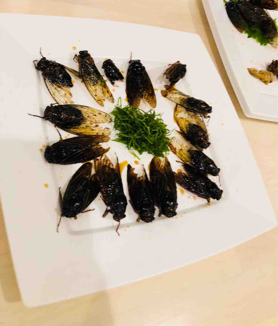 中目黒で昆虫食barを開催 集客の難しさを実感したイベントになりました まいんどちゃねる 中目黒で昆虫食barを開催 集客の難しさを実感したイベントになりました まいんどちゃねる