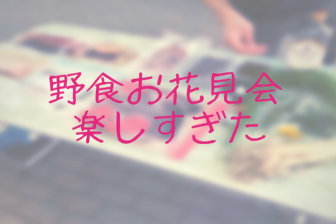 69CFD97F-4A4A-4B19-A85F-5595C9639595