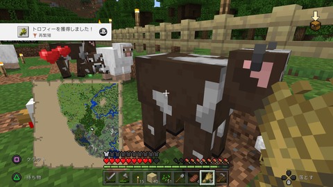 Minecraft_20201202130940