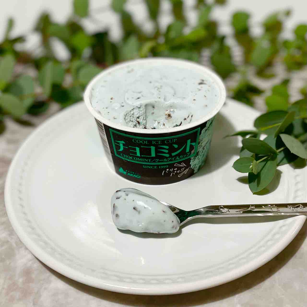 ローソン 昨夜のアイスは 新発売 チョコミント Nagatakのブログ