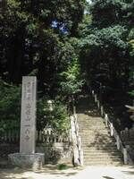 真っ直ぐの階段