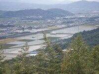 境内からの風景