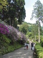 山門を入ったところ