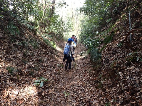 200305 P3050922 小野路