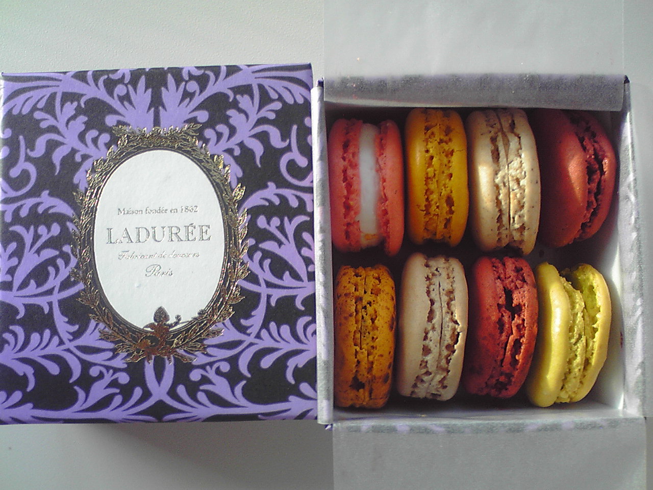 限定マカロン 教授のひとりごと