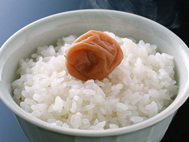 うめぼしのうた 教授のひとりごと うめぼしのうた 教授のひとりごと