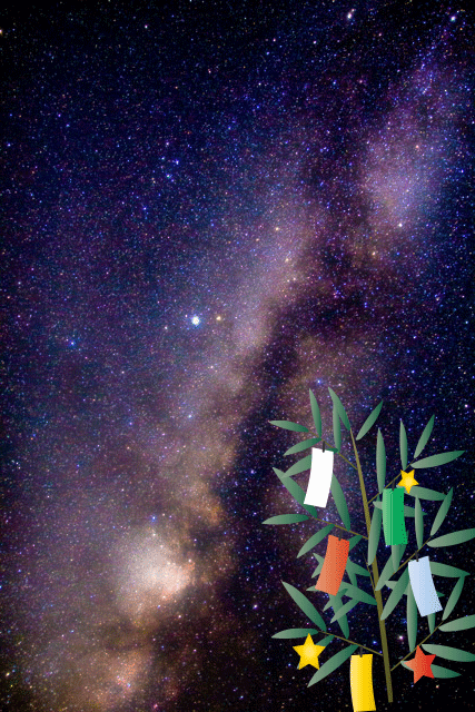 七夕と竹建築 教授のひとりごと
