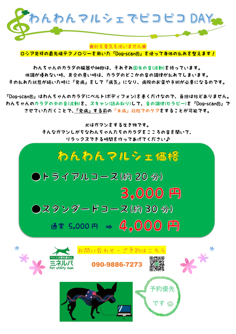 わんまる