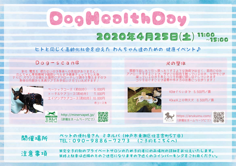 DogHealthDay-1