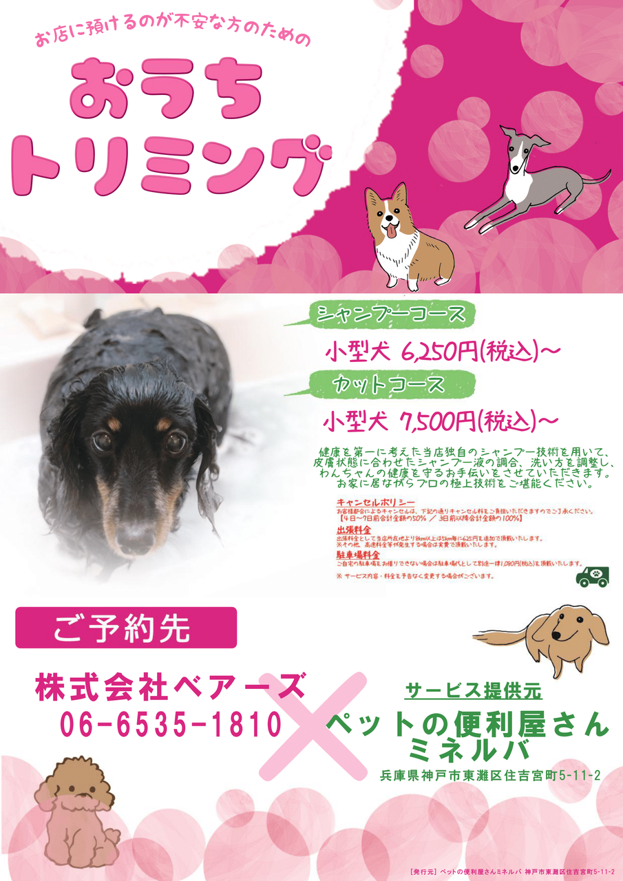 ベアーズさんのチラシを頑張ったから見てほしいだけ ペットの便利屋さん ミネルバ ベアーズさんのチラシを頑張ったから見てほしいだけ ペットの便利屋さん ミネルバ