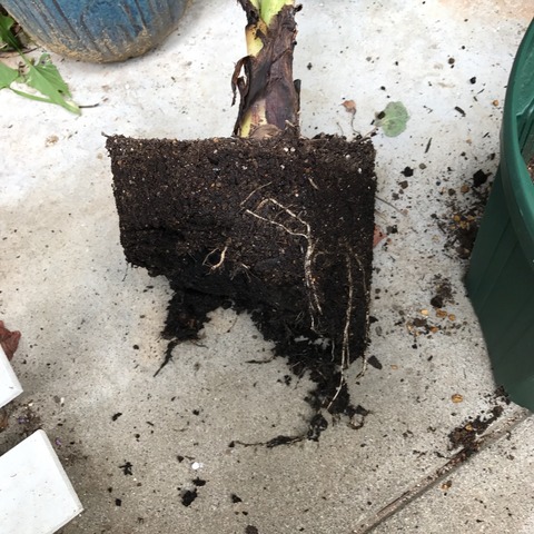 2017-06-18-09-02-58