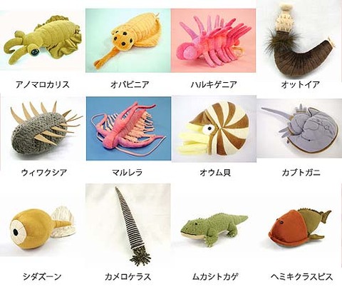 キモカワの魅力 古代生物のぬいぐるみ 日刊 ちっちゃいもの新聞 キモカワの魅力 古代生物のぬいぐるみ 日刊 ちっちゃいもの新聞